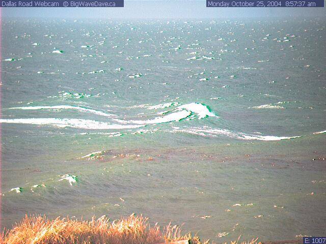 Monday Oct 25, 2004 8:57am: Nice SE swell

