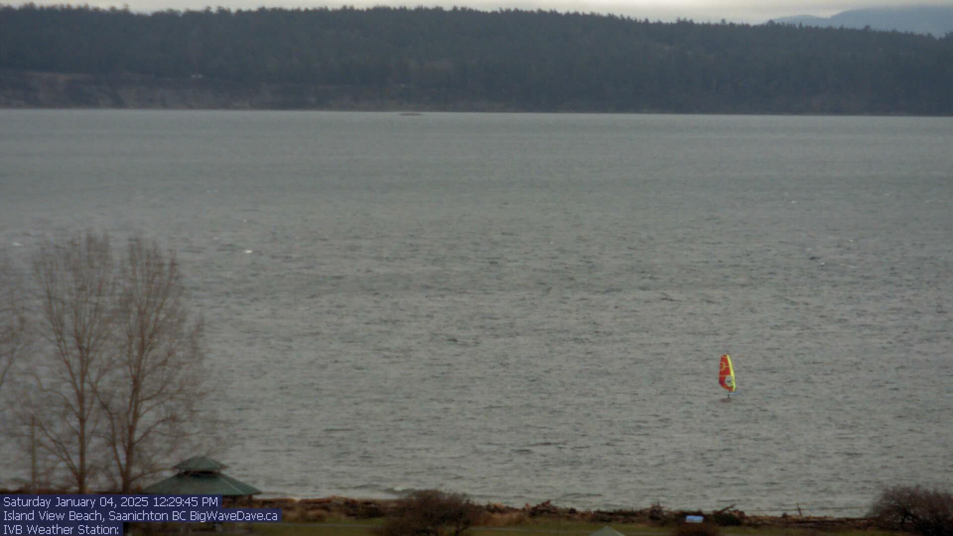 image001
Bobson at IV
