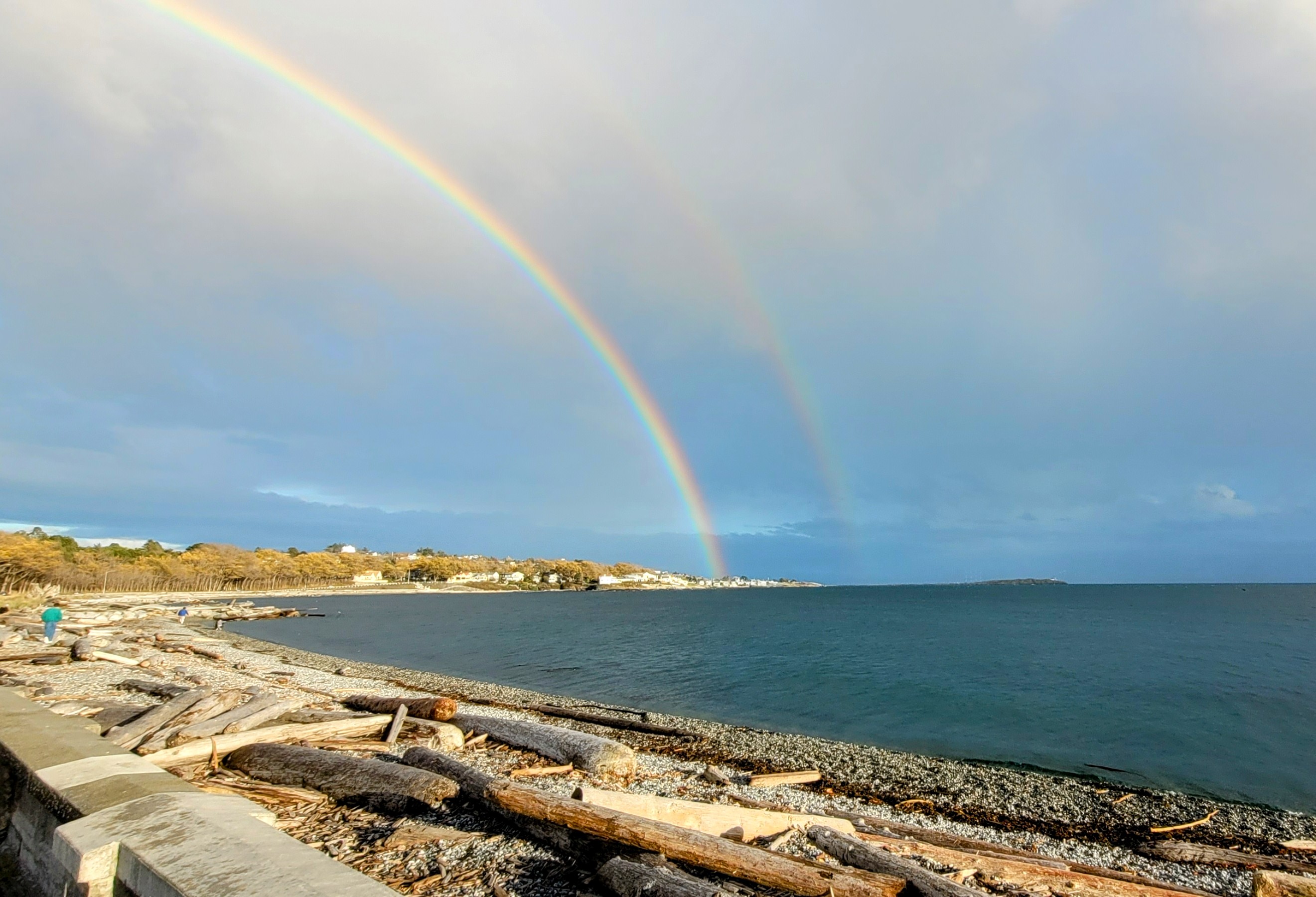 RossBay Rainbows
Sat Nov 4 2023 winging
