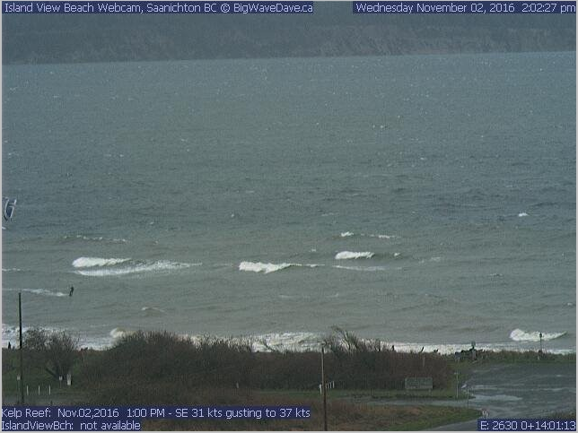 swell city
Looked like fun
