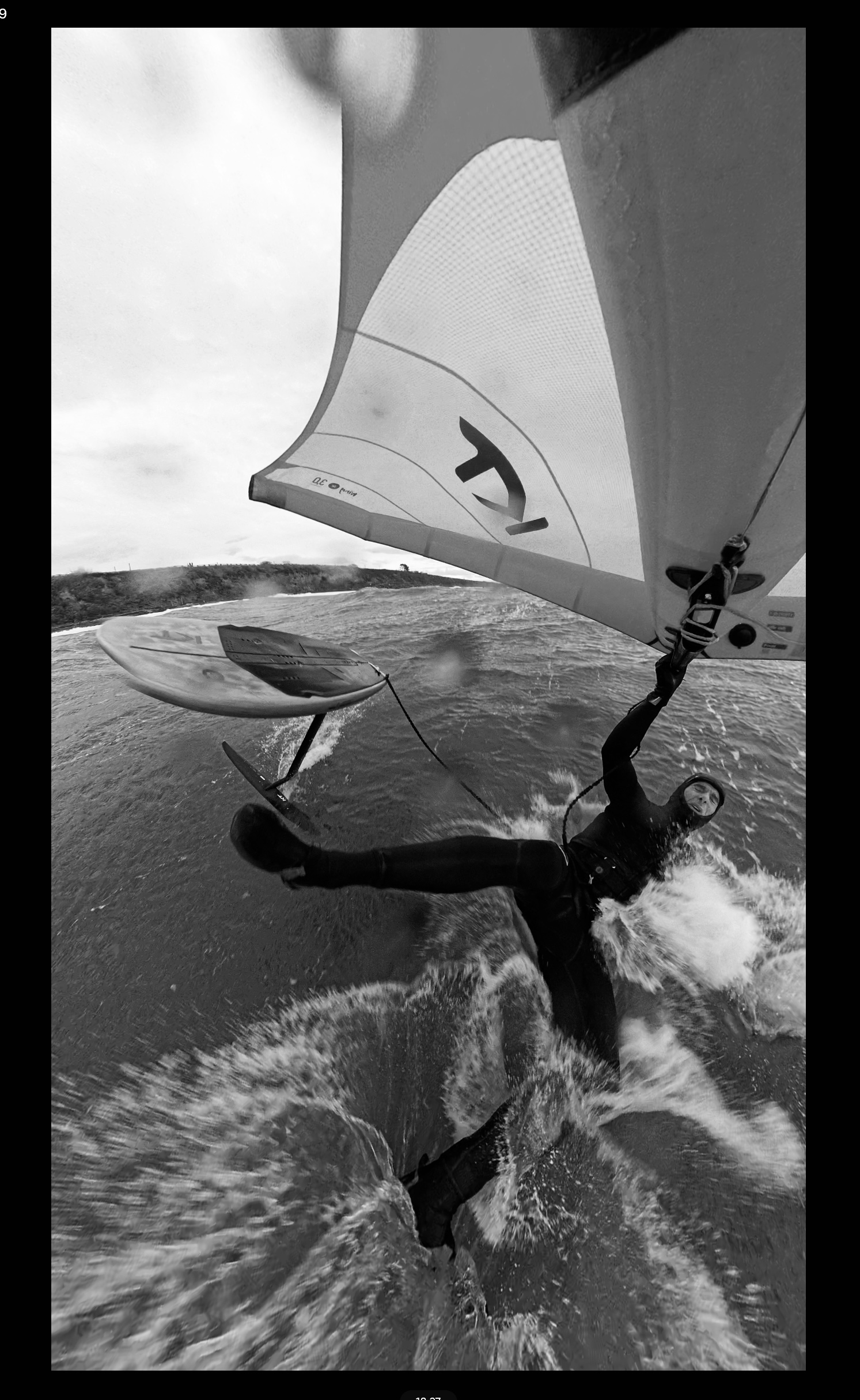 Clover Feb 19, 2025 Winddoc
