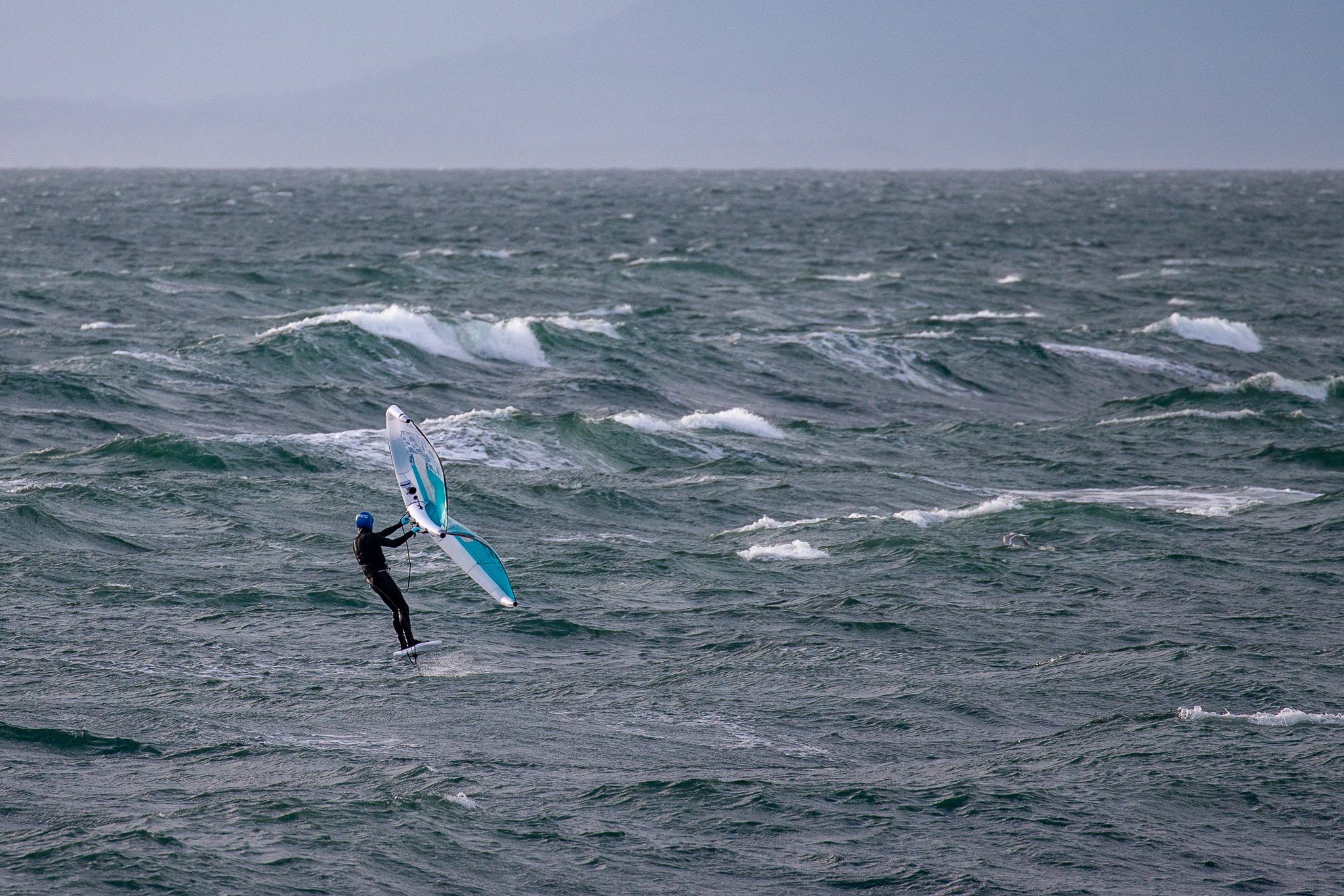 Clover's wave garden
