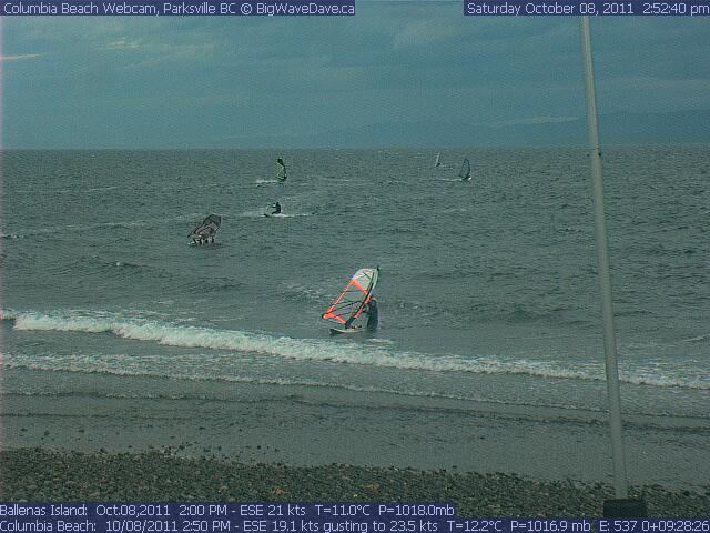 Smiling Jellyfish at CB
