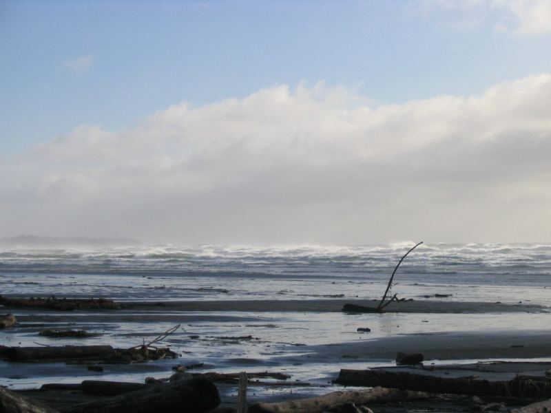 Another angle.  55-65 knots on Jan. 9, 1 pm.  Wow!
