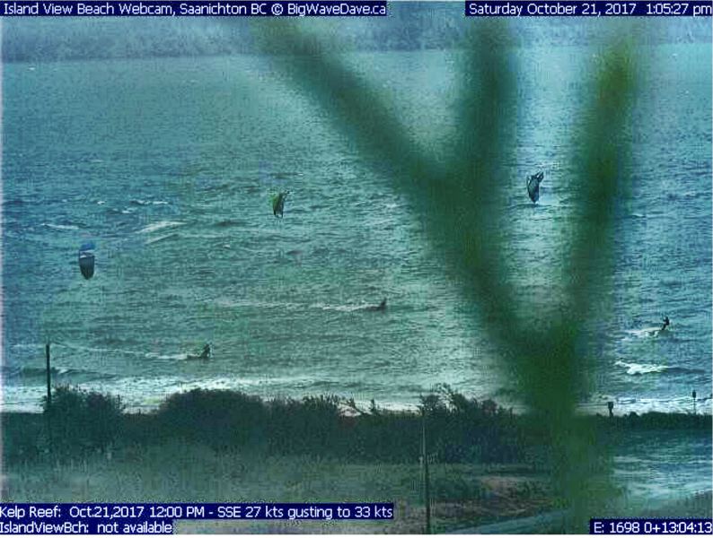 Typical SE Islandview rain fest.
Snarfer at bottom, maybe Reece at top?
