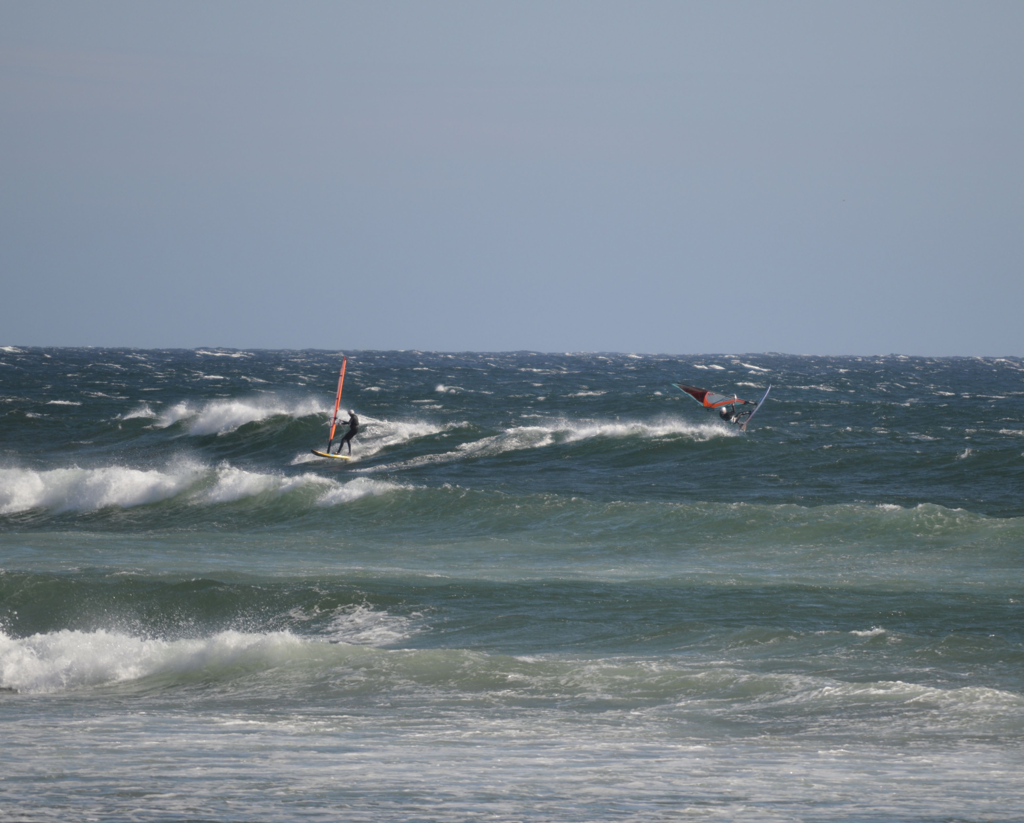 DSC_1160
April 2025 Long Beach
