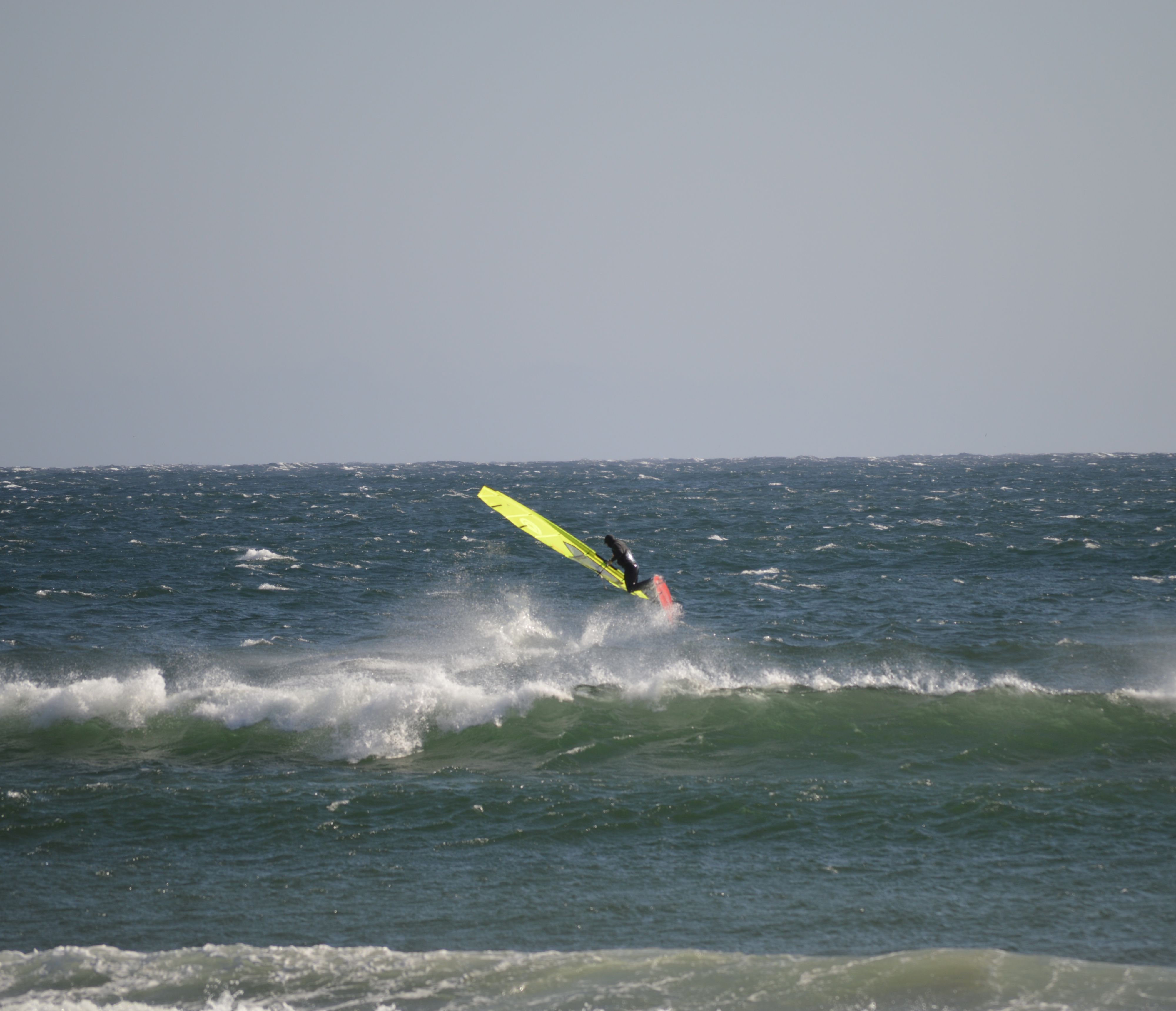 DSC_1164
April 2025 Long Beach
