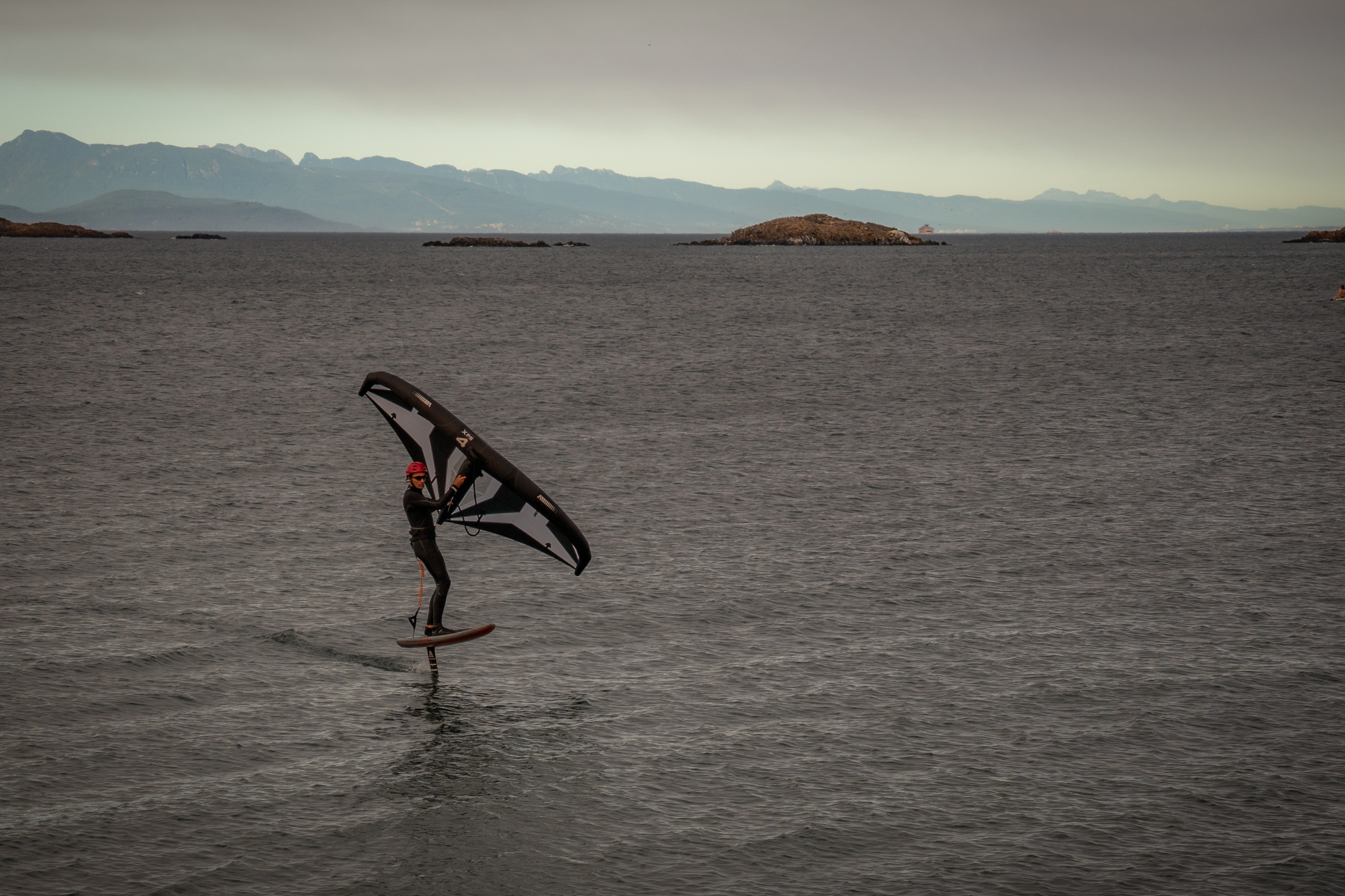 Pipers Aug 12 - zebra wing 1
sorry so tiny - I have a new lens, next ones will be better!
