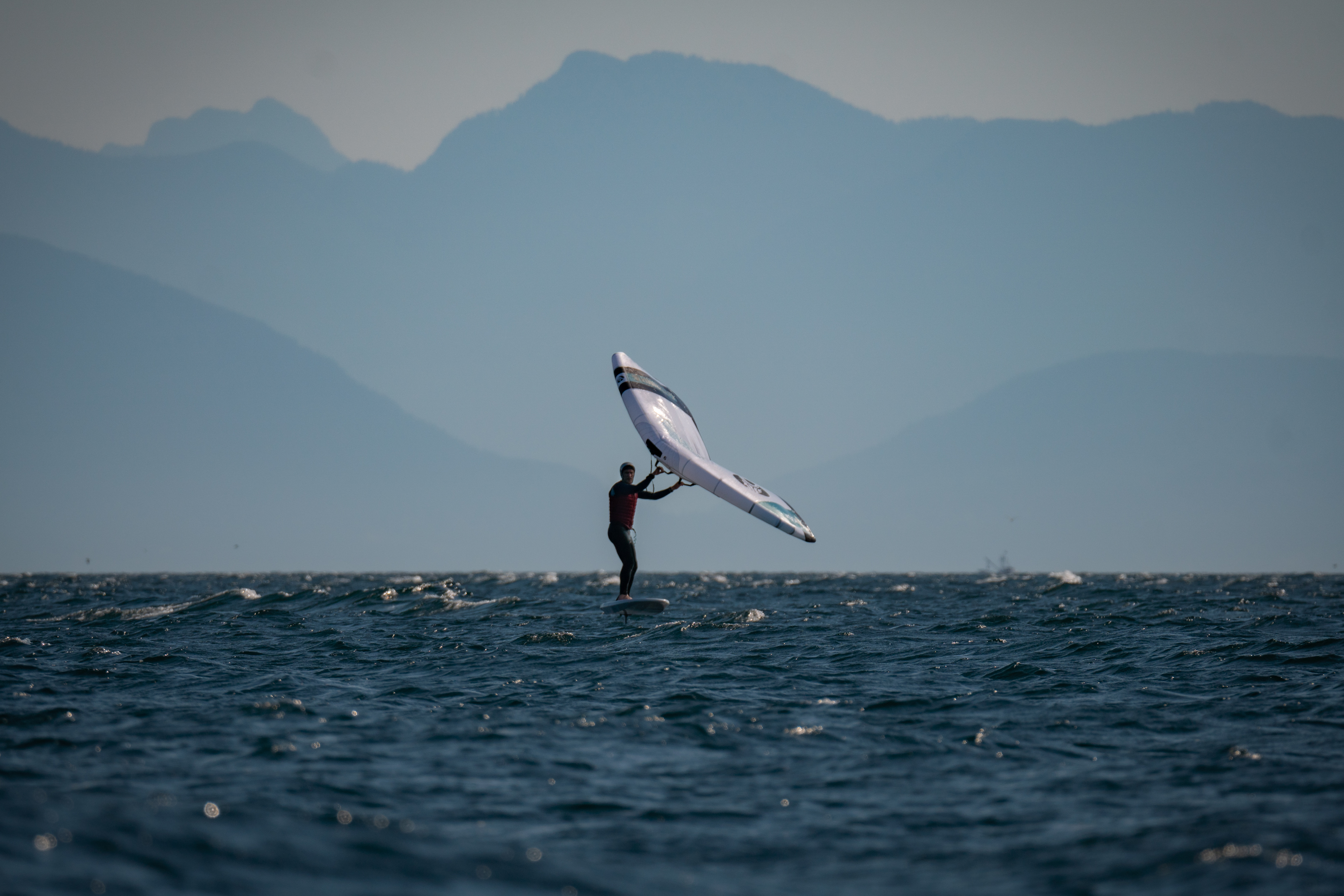 Pipers Aug 24 - white wing
