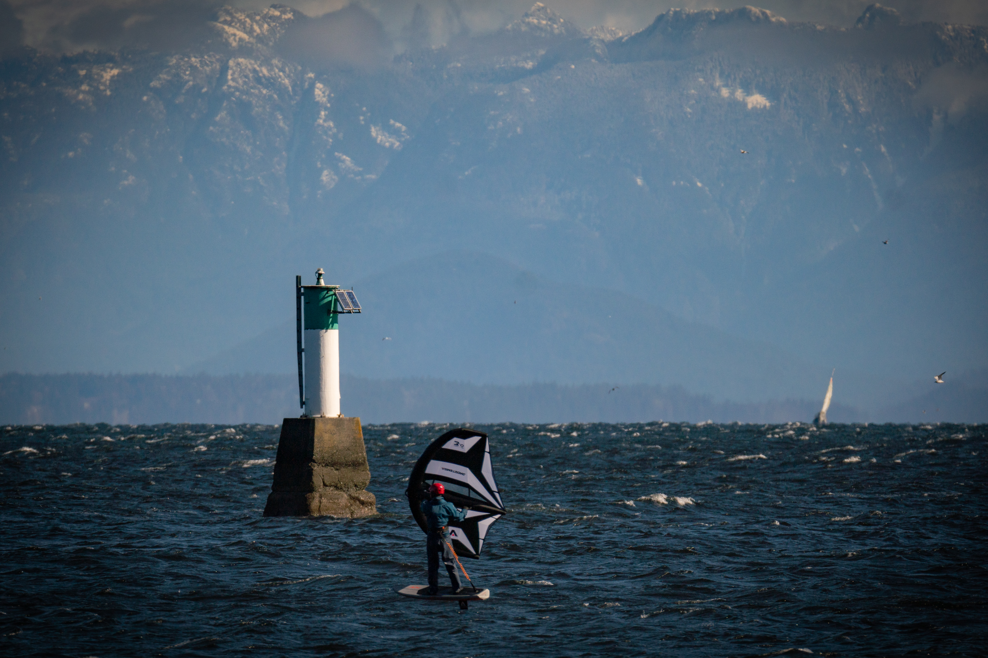 Pipers Mar 14 - zebra wing 2
