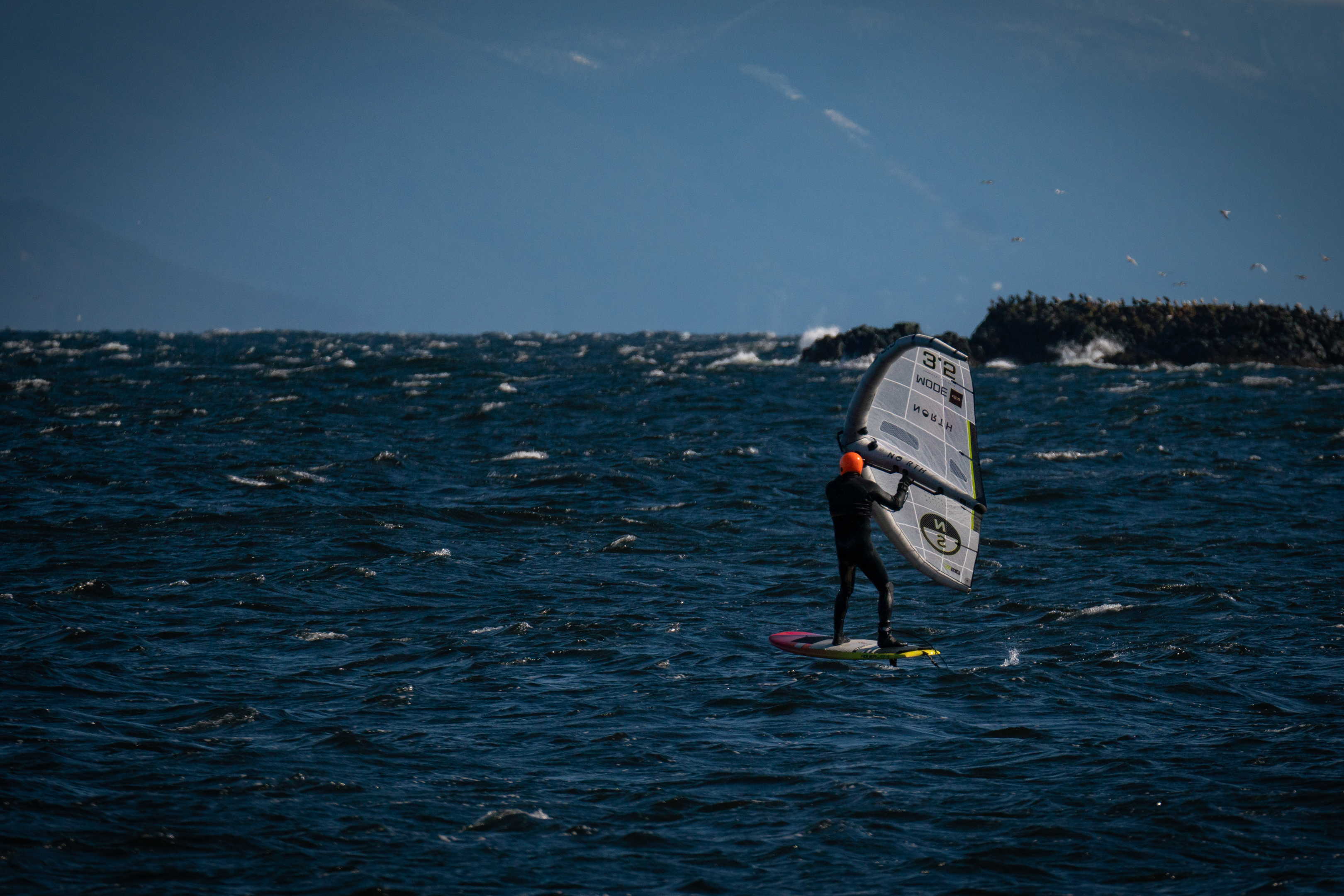 Pipers Mar 14 - white wing
