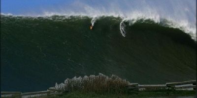 Latest Comments Card