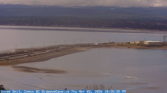 Goose Spit, Comox