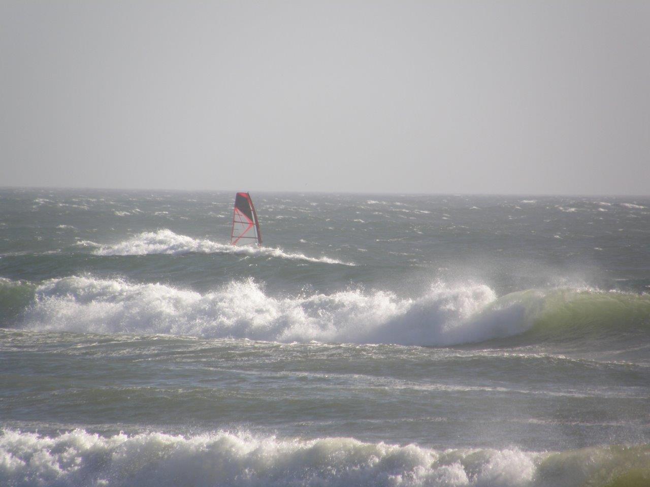 P7080054.jpg smaller.jpg