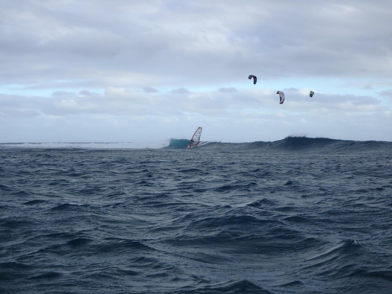 ahd seal 102 in action @ haapiti<br />first day of a Maaramu wind  always get crowded with 4 buddies, like hookipa in maybe 1977!!!??